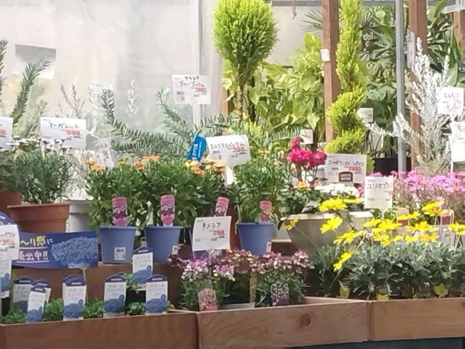 市場のお花が満載の園芸店