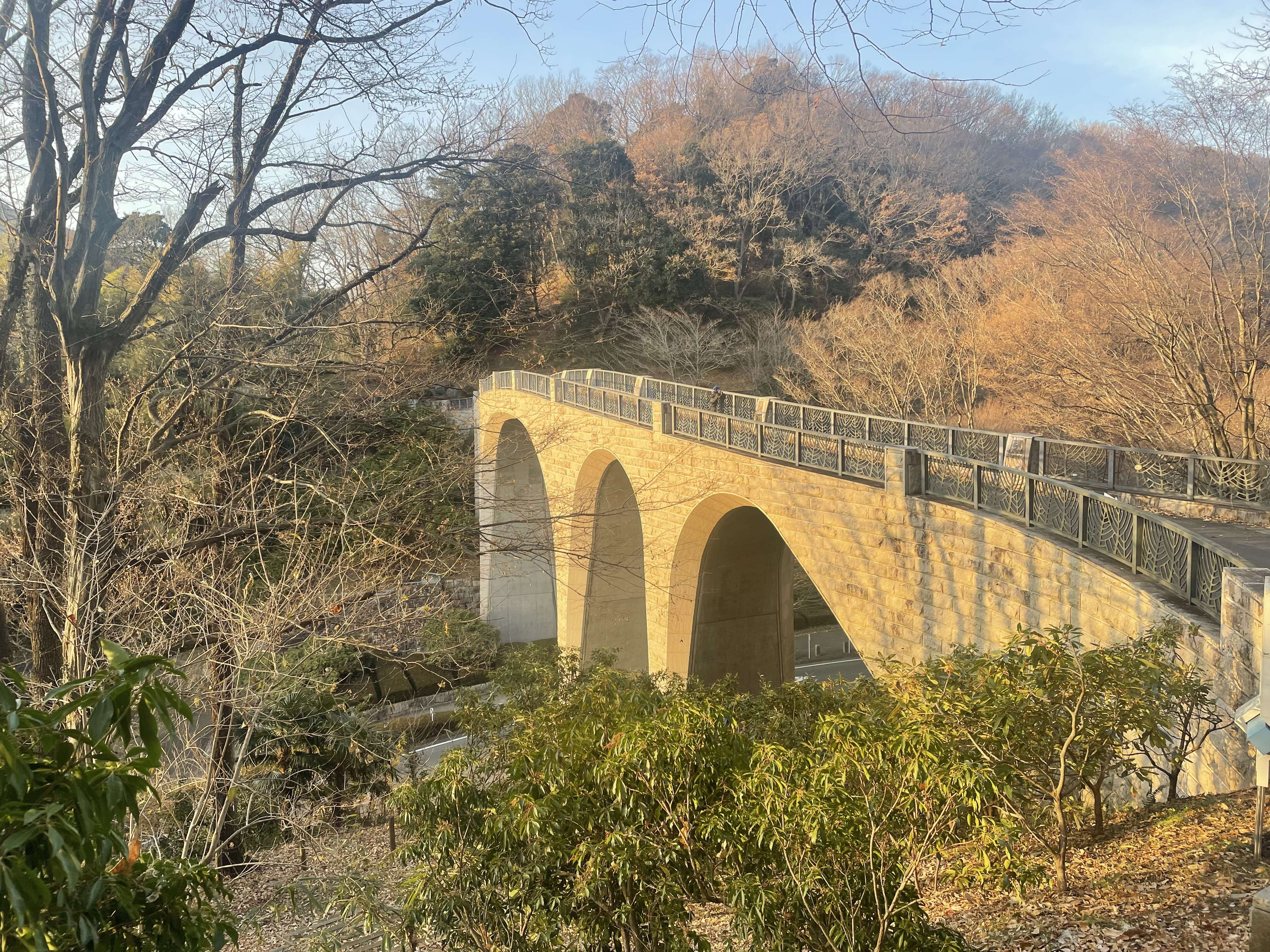 プチ登山気分で散策　七沢森林公園
