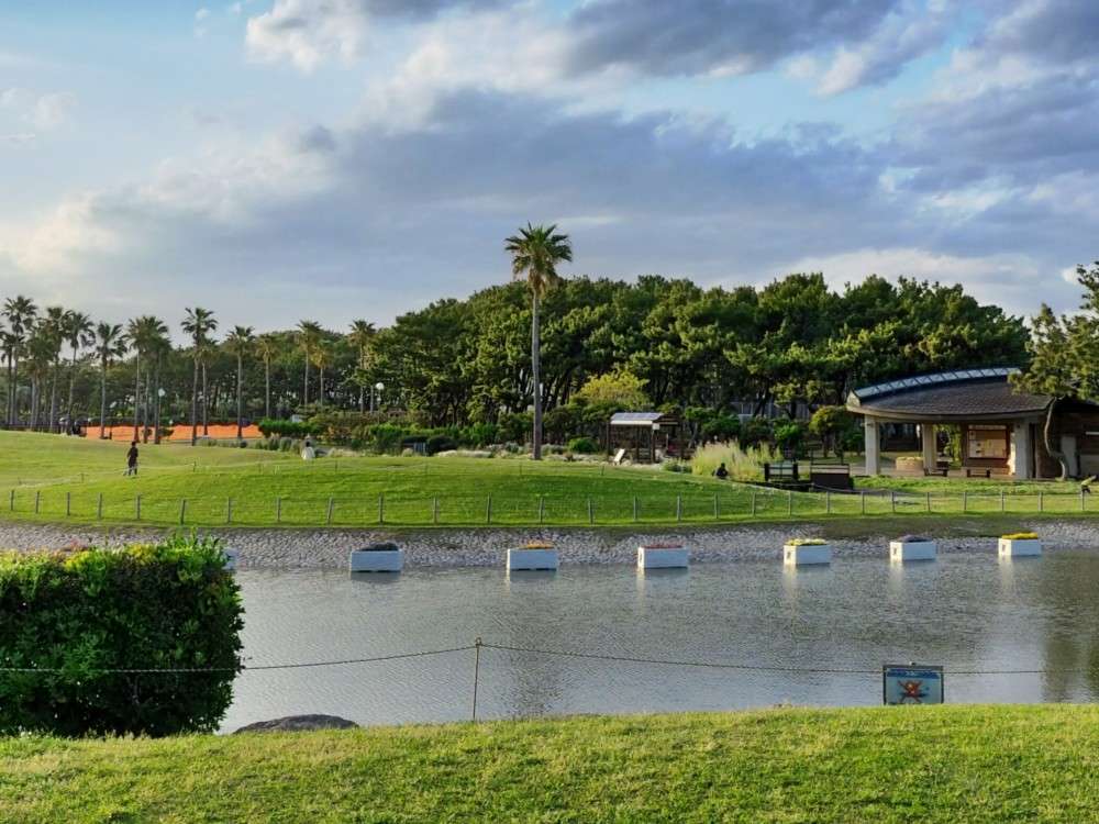 交通ルールを学べるだけじゃない！「県立辻堂海浜公園」の魅力