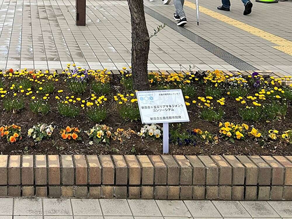 新百合ヶ丘に春が来た