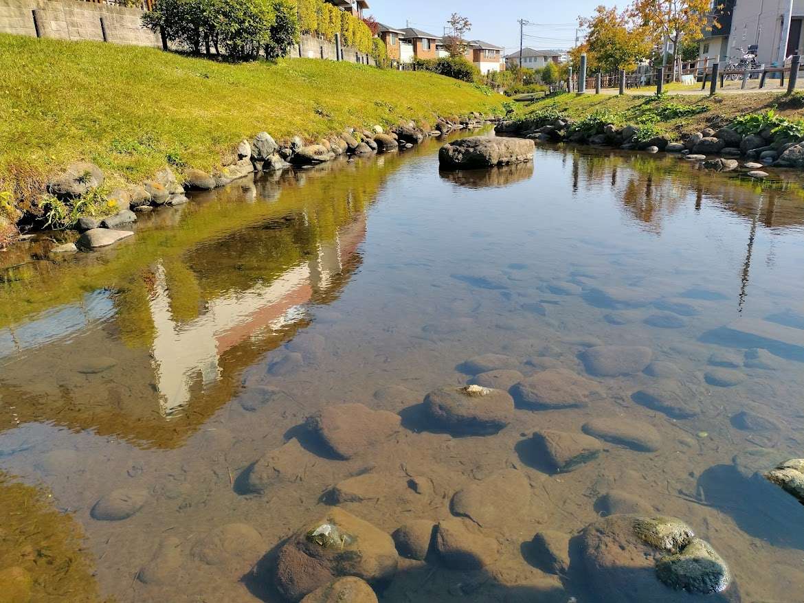 カワセミも訪れる名水スポット
