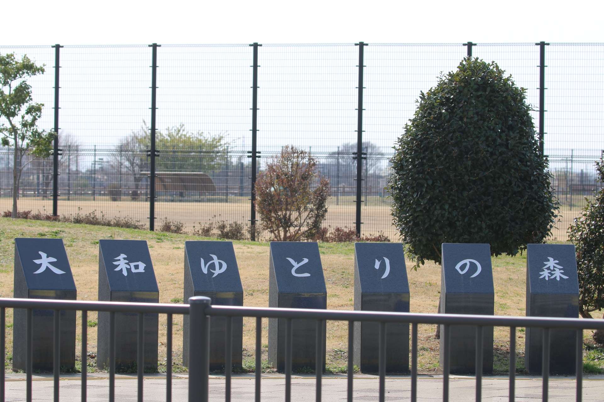 遊具も広場も楽しめる！「大和ゆとりの森」で一日中遊びつくそう！