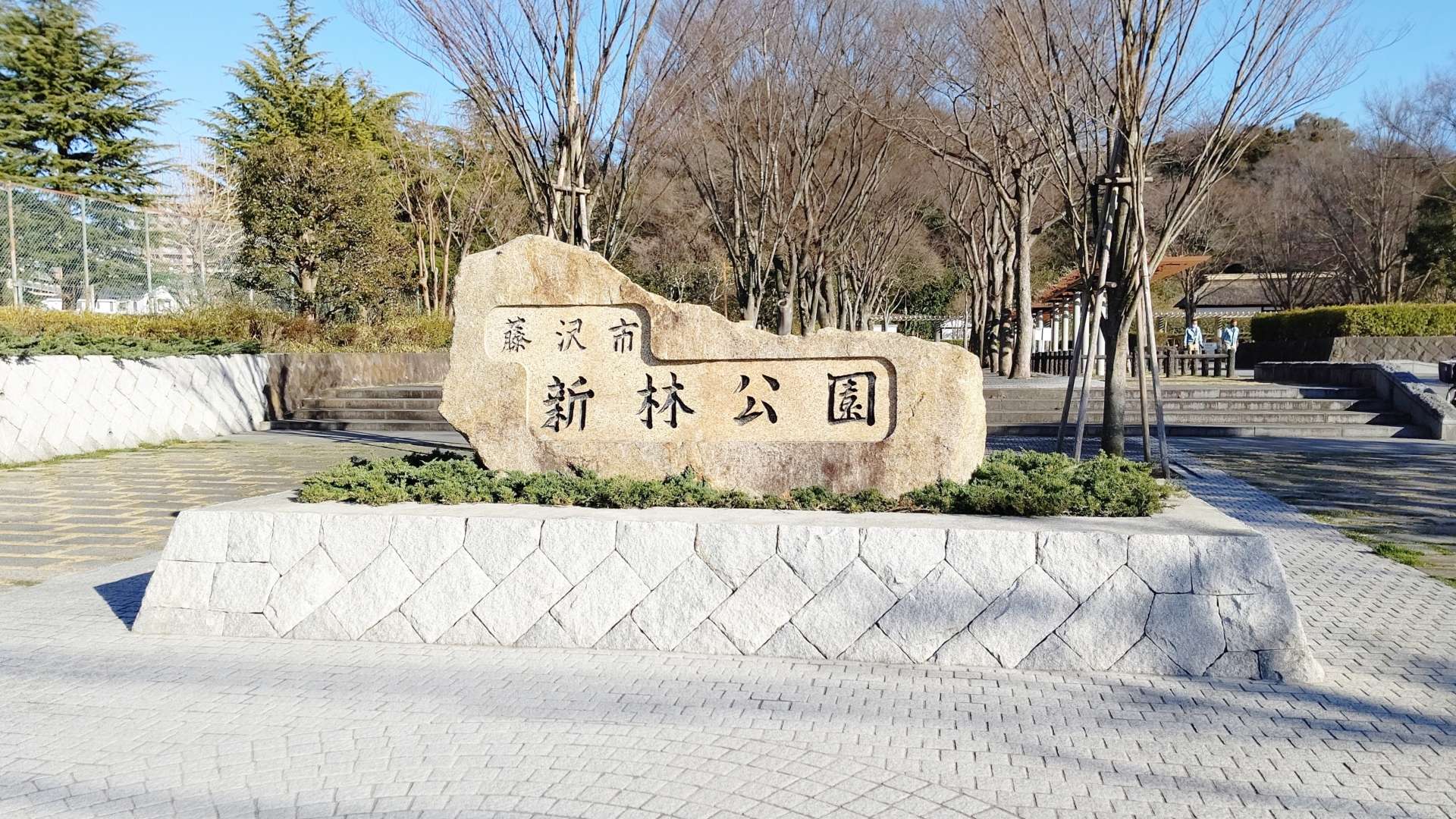 「新林公園」のハナショウブで癒しのひと時を！バードウォッチングにも最適 中心街からすぐの緑の楽園「新林公園」
