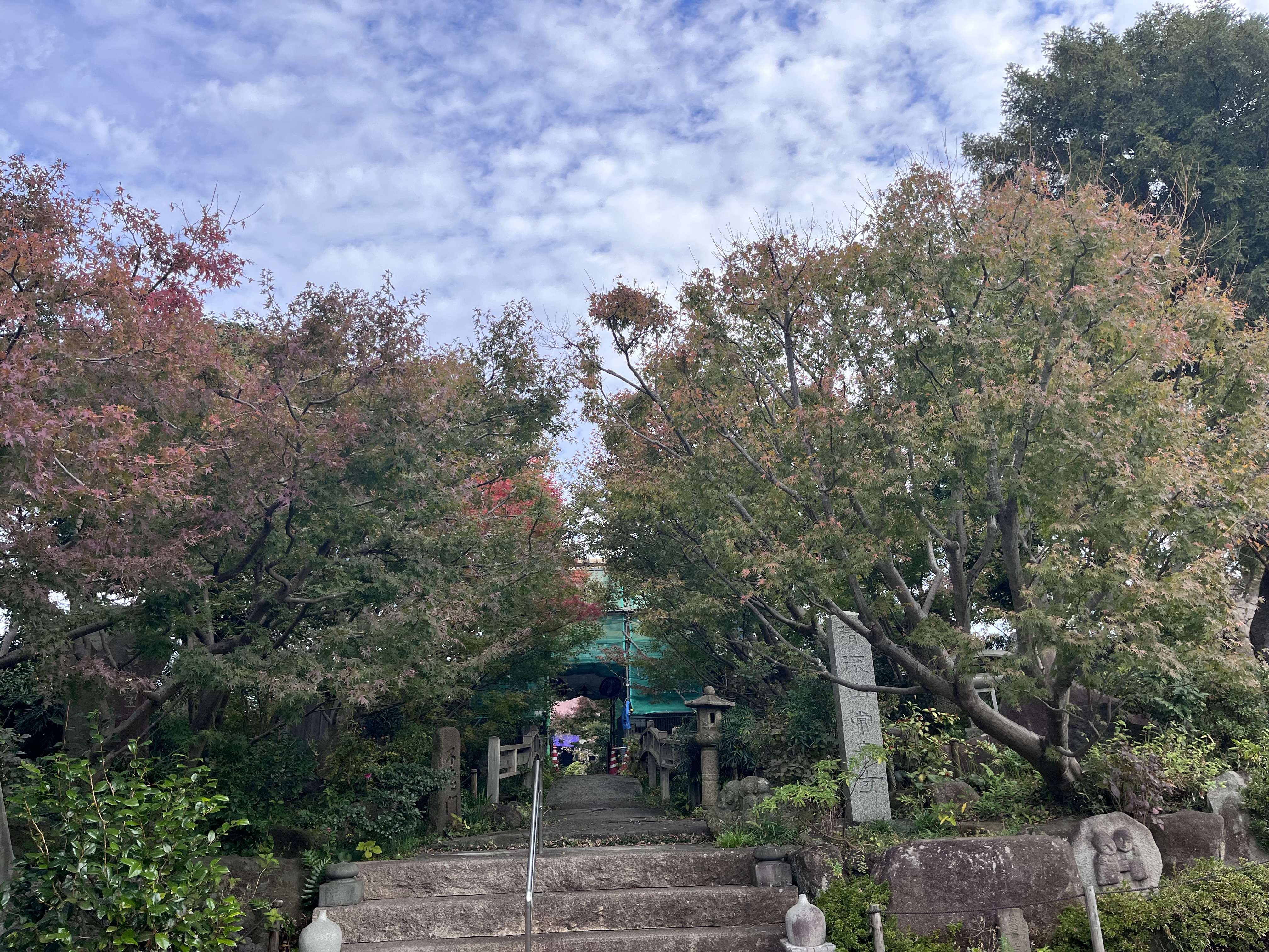 縁結び菩薩　花の寺　常泉寺