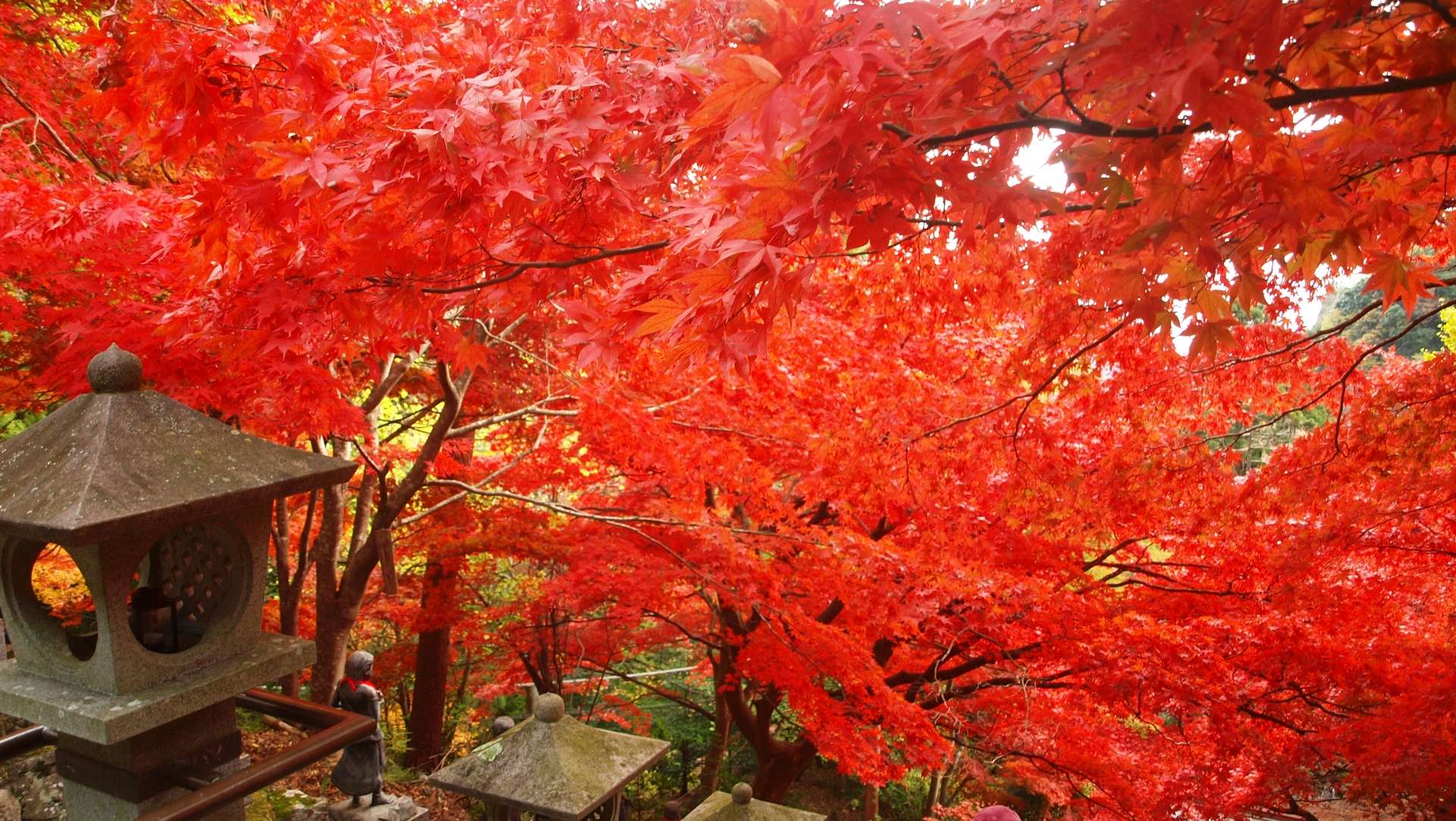雨降山の大山寺で紅葉を楽しもう！ライトアップで夜も絶景が見られる