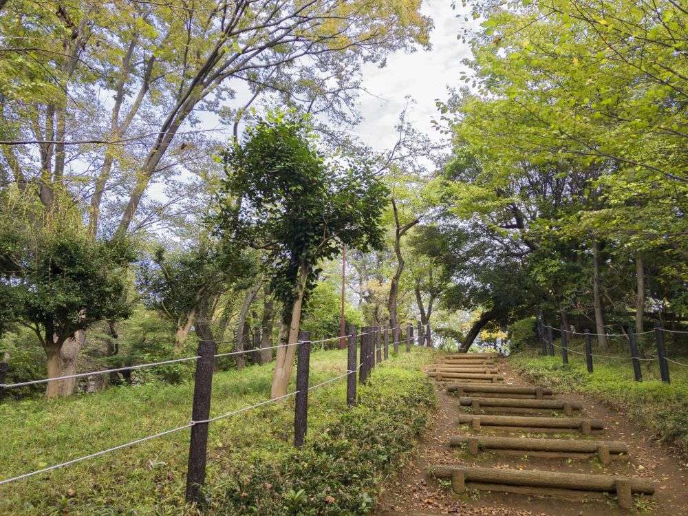 子ども達に大人気！一日遊べる「羽根木公園」を満喫しよう！