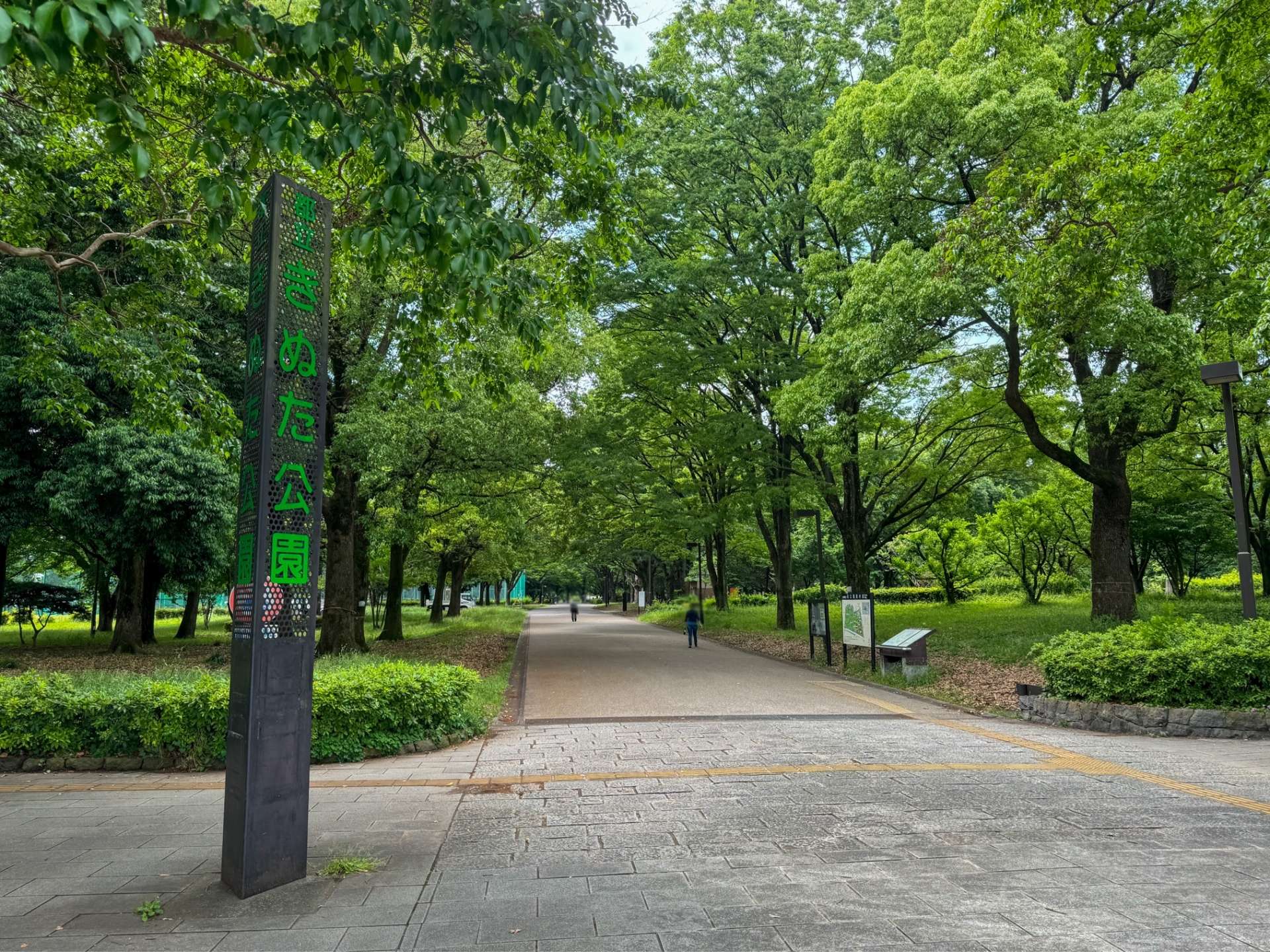 家族ぐるみで楽しめる公園「砧公園」をご紹介！