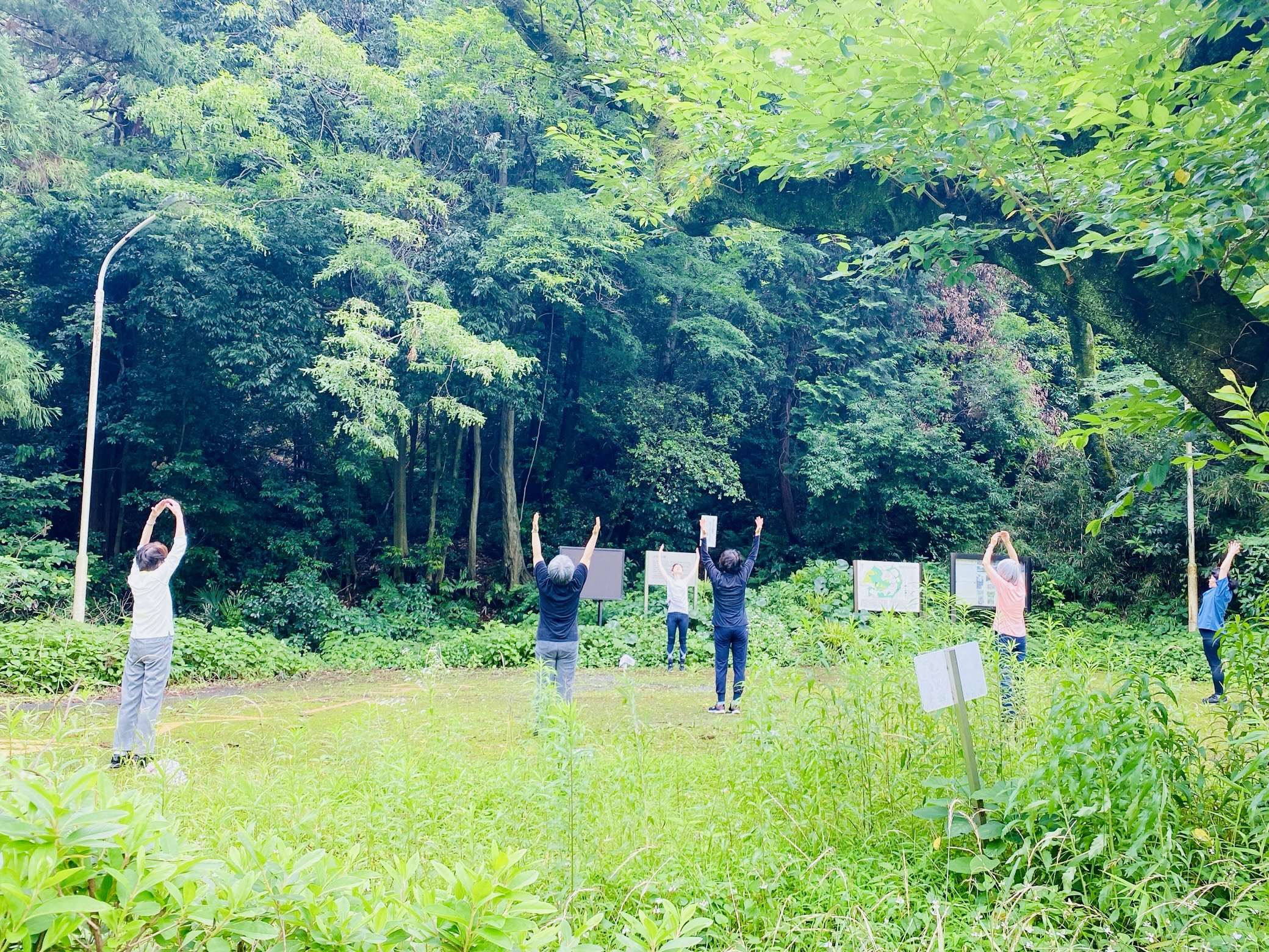 西生田の森ヨガ&ウォーキング