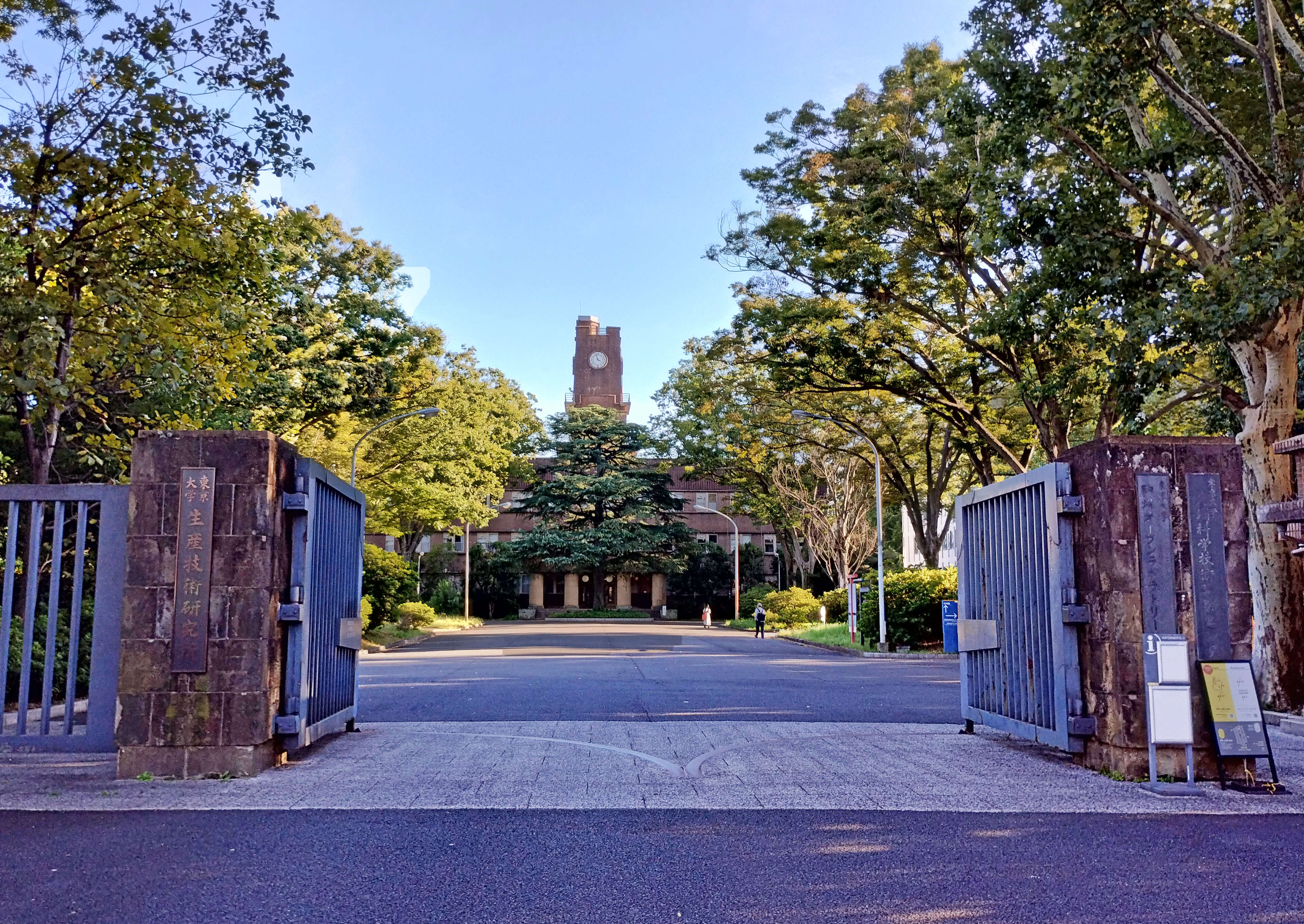 アカデミックな散歩道　東京大学駒沢キャンパス