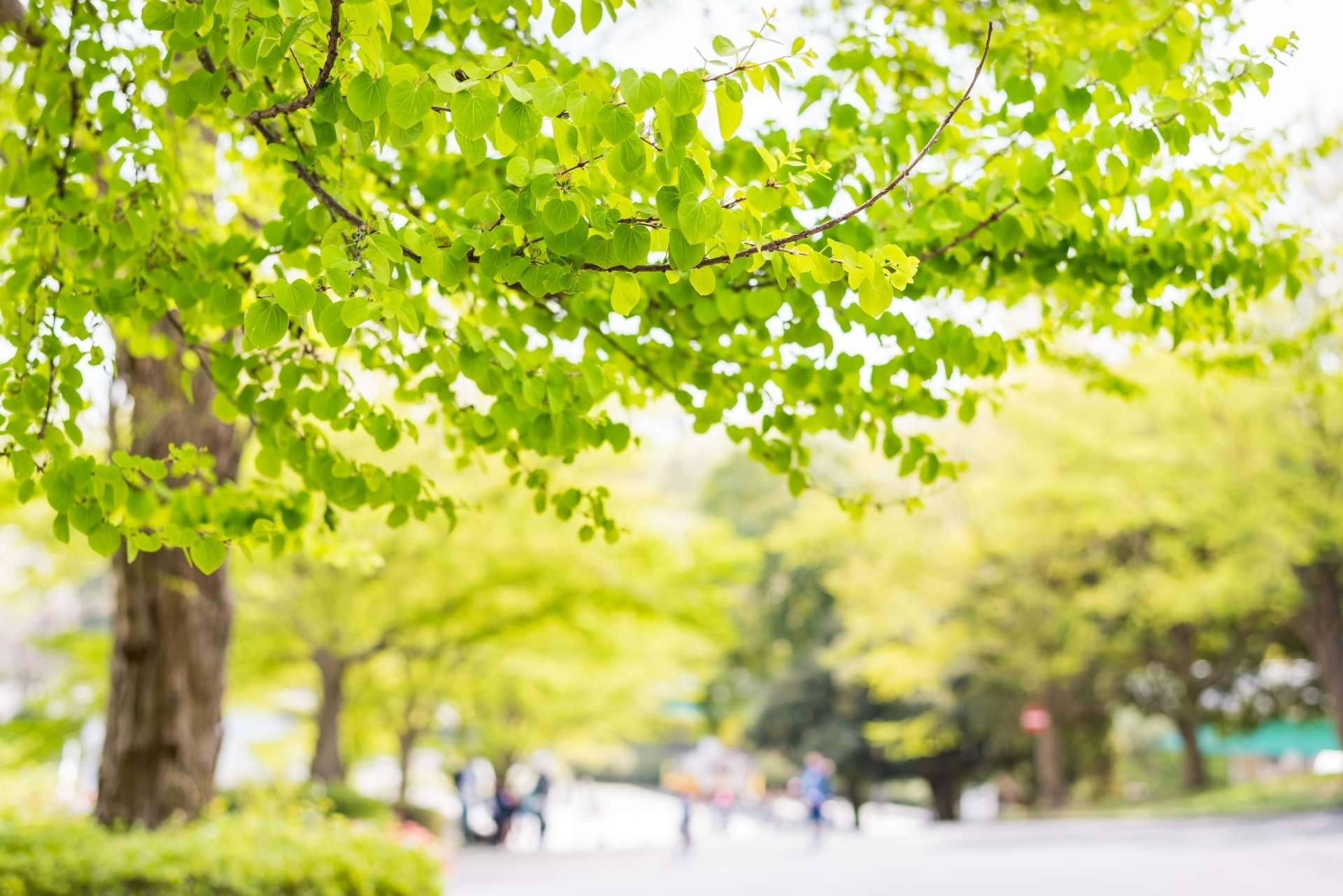 千歳船橋周辺の公園スポット8選！散歩や子供と遊べる穴場もご紹介♪