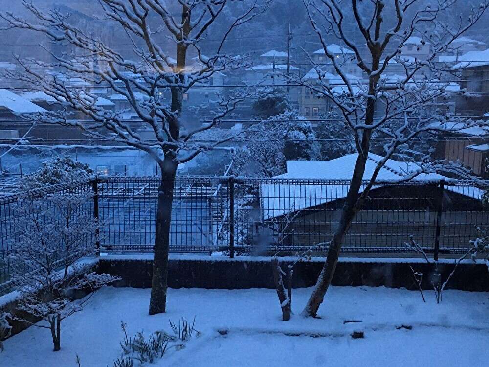 自然豊かな新百合ヶ丘、向原地区
