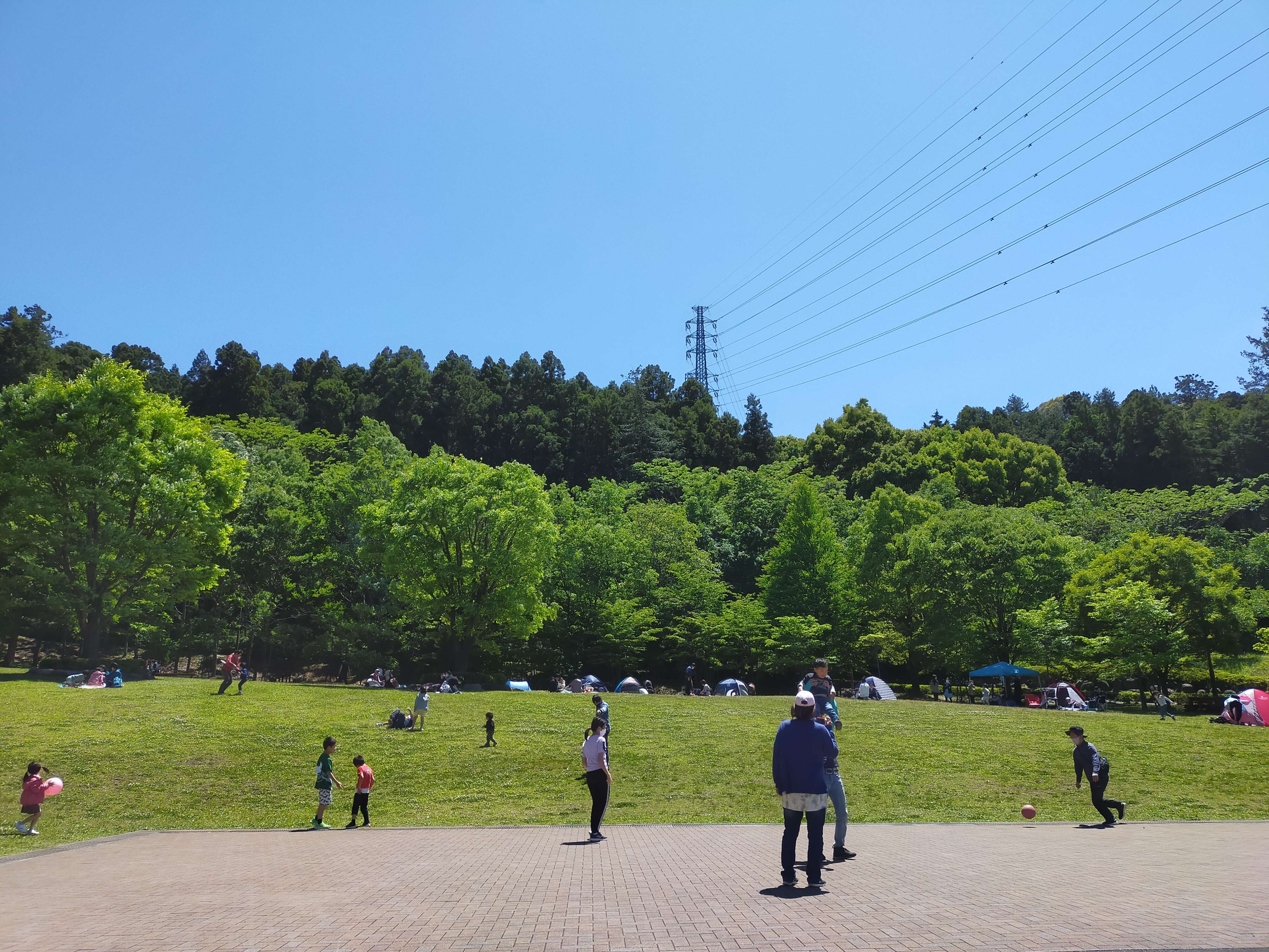 無料で1日遊べる公園「わんぱくらんど」