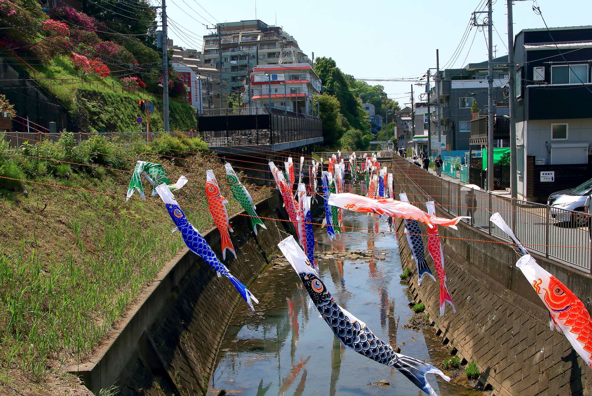 五反田川に鯉のぼり