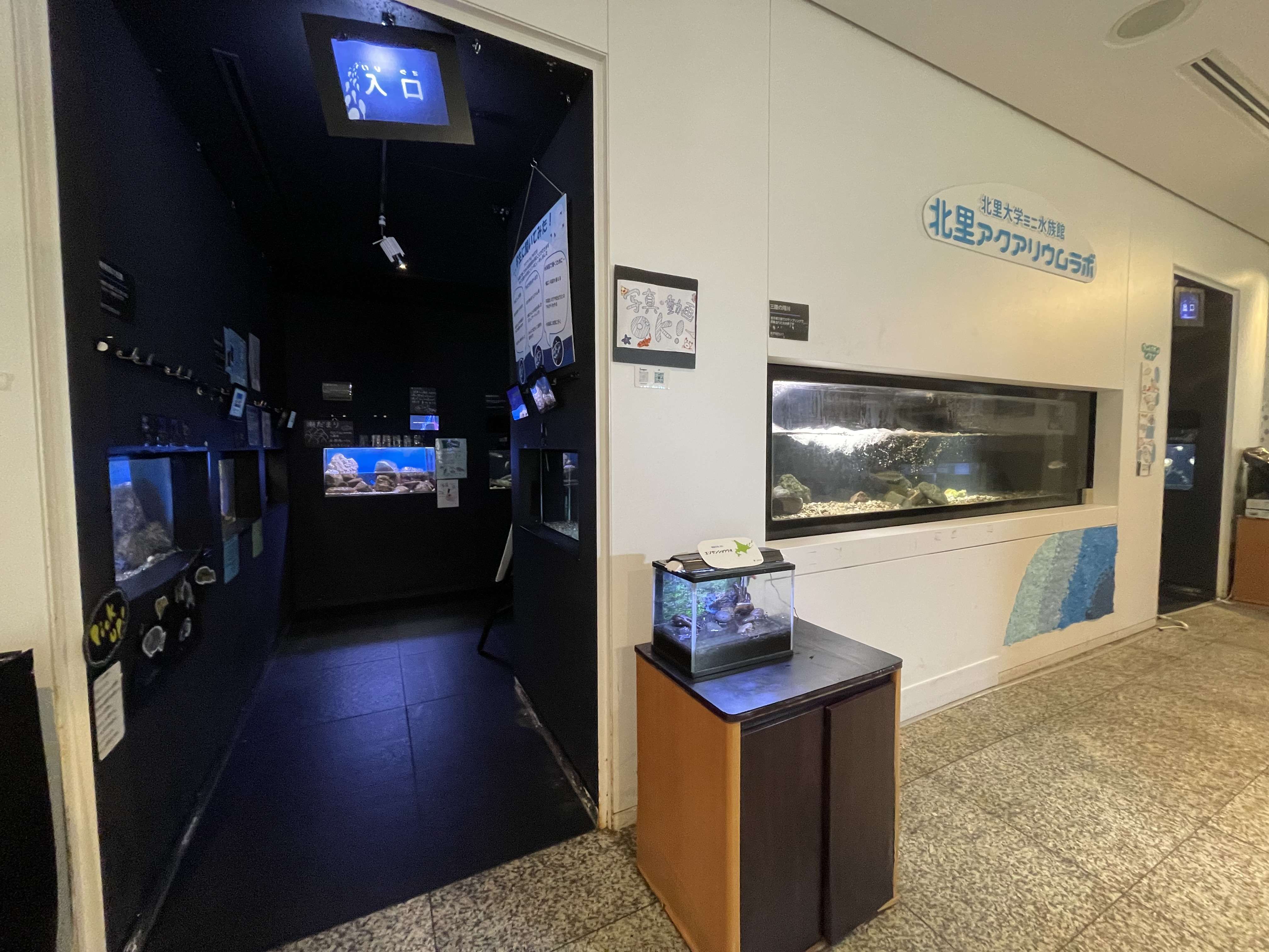 北里大学内のミニ水族館