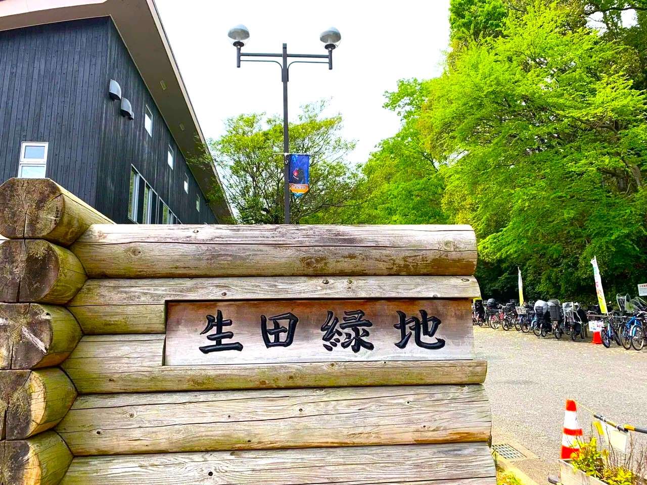 新緑がまぶしい　自然がいっぱいの生田緑地