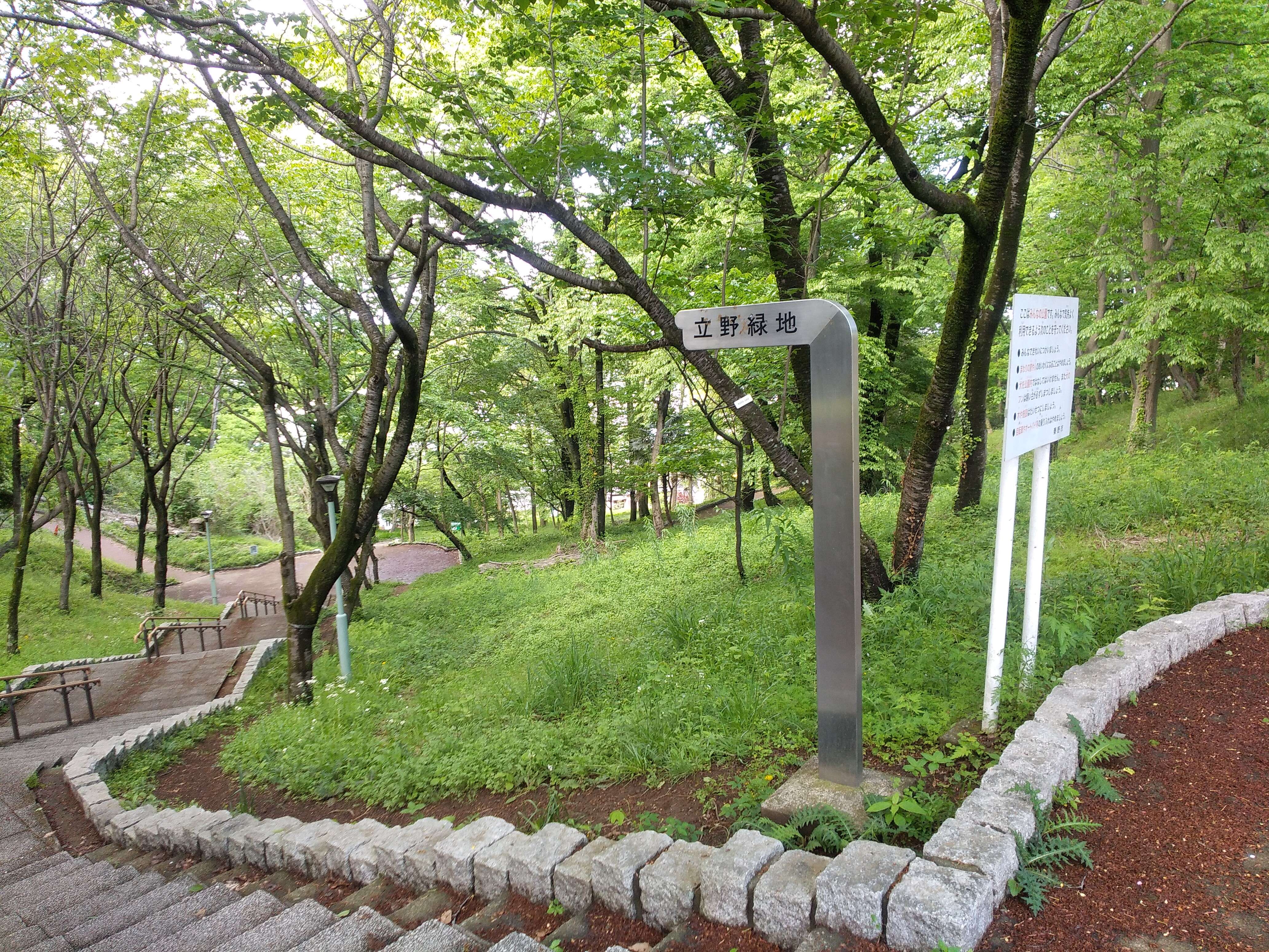 新緑の立野緑地