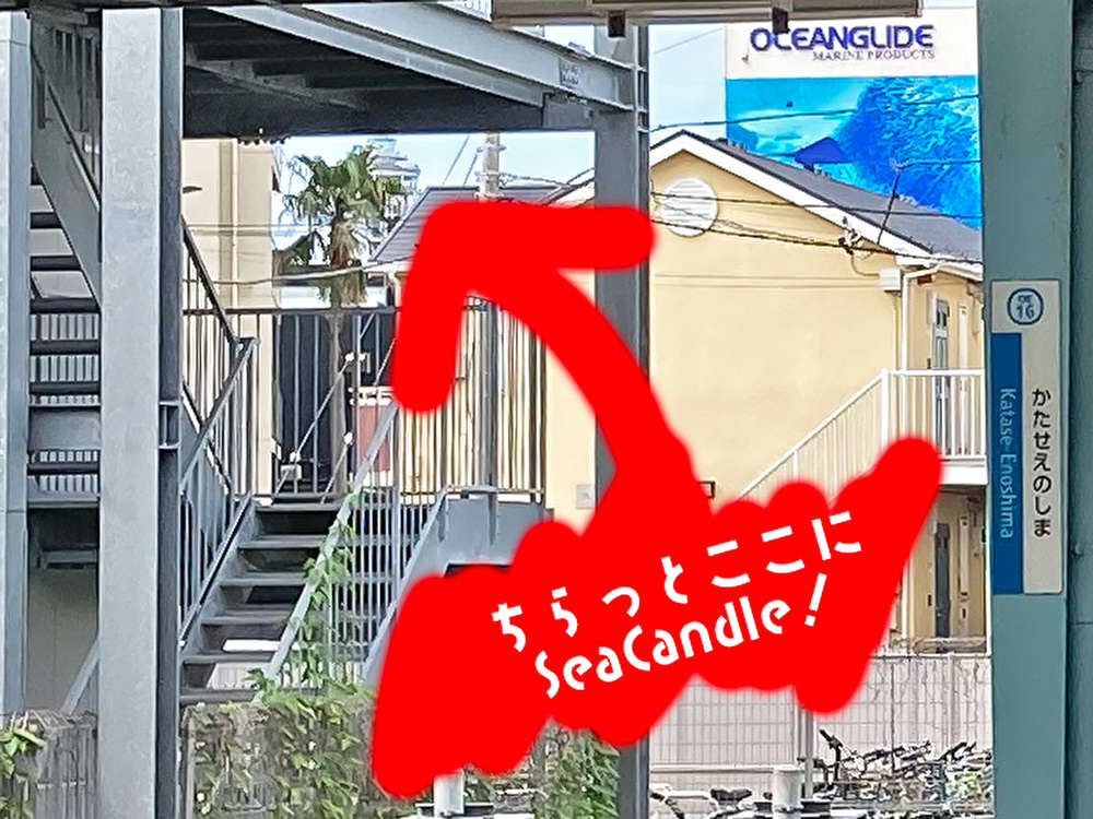 シーキャンドル見える！