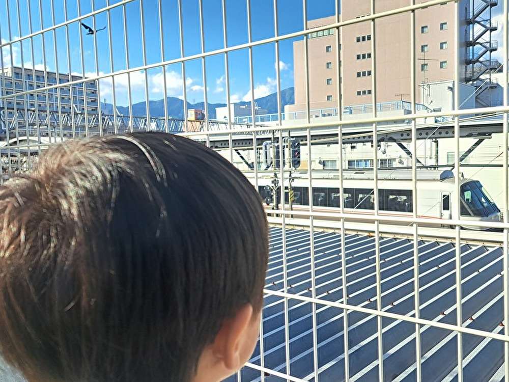 ロマンスカーが上から見れる公園
