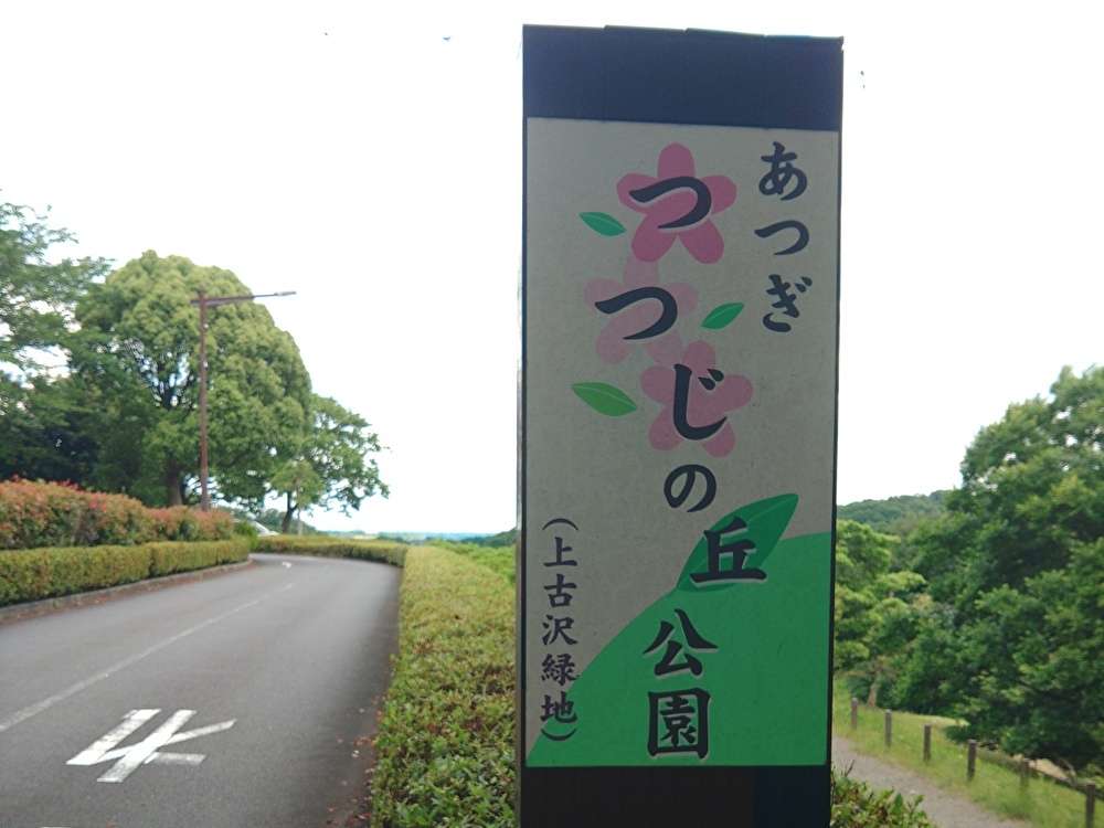公園でインスタ映えを狙ってみませんか？