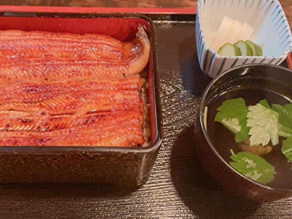 うなぎを食べて夏を乗り切ろう