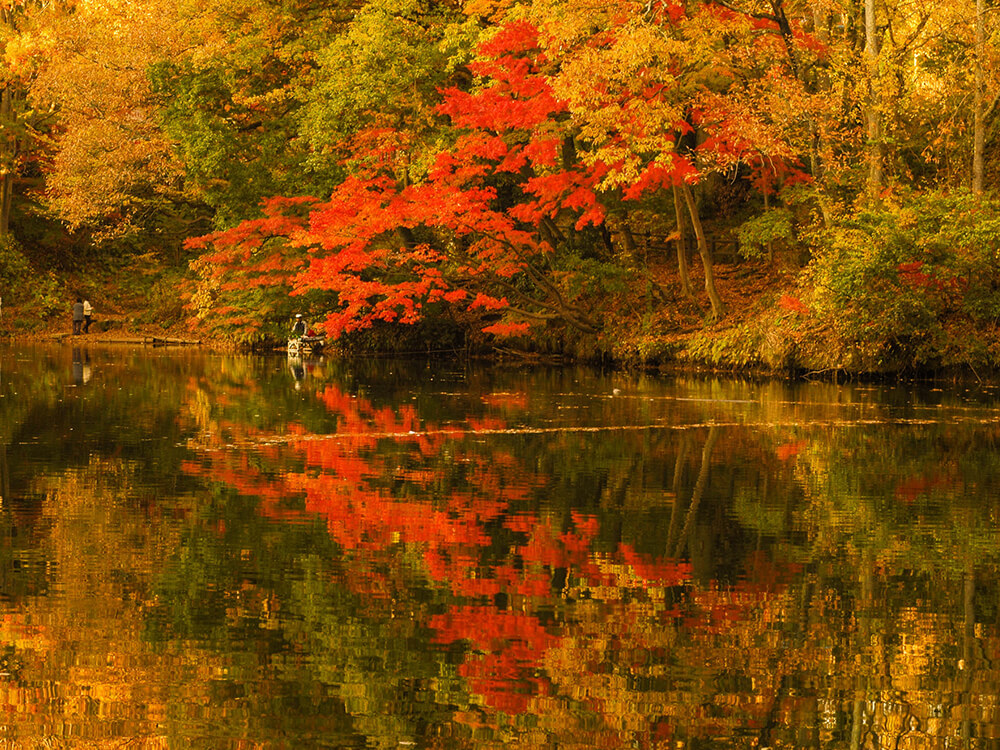 湖畔でゆっくりお散歩！隠れた紅葉スポット