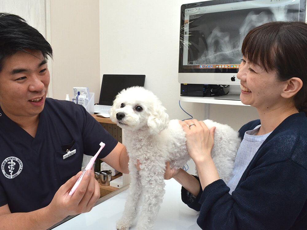 歯科治療に力を注ぐ動物病院