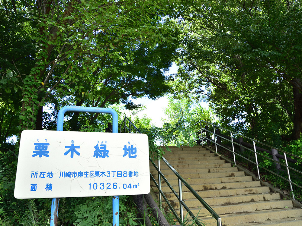 市境を通る緑深い遊歩道