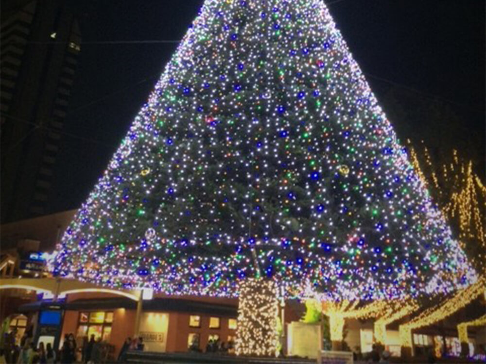 街を彩るクリスマスツリーのイルミネーション